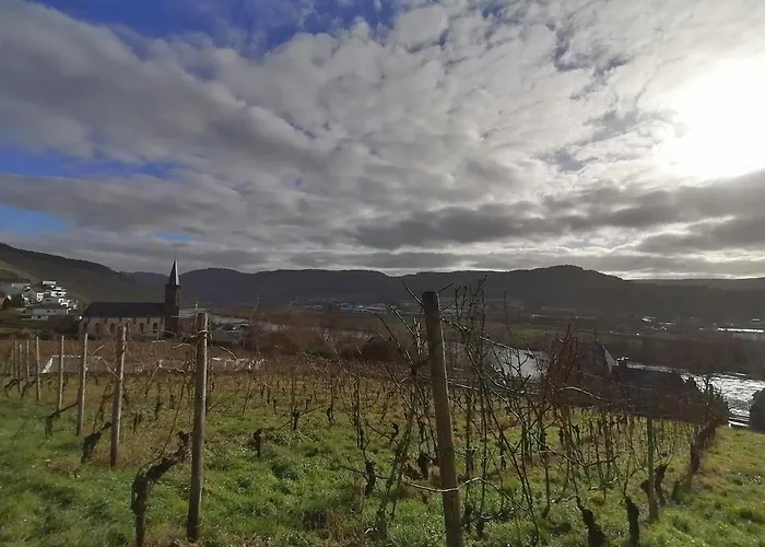 Weingut & Gaestehaus Schumann