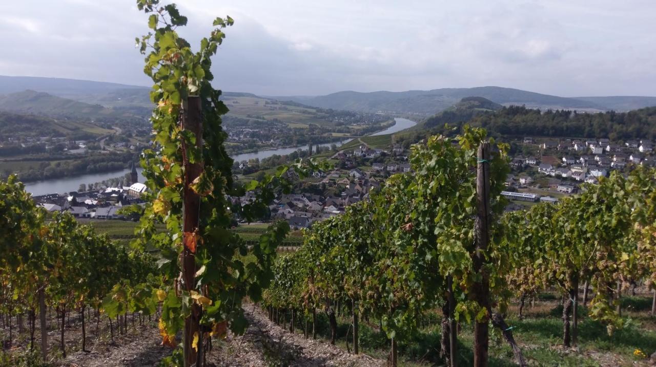 Weingut & Gaestehaus Schumann Lieser