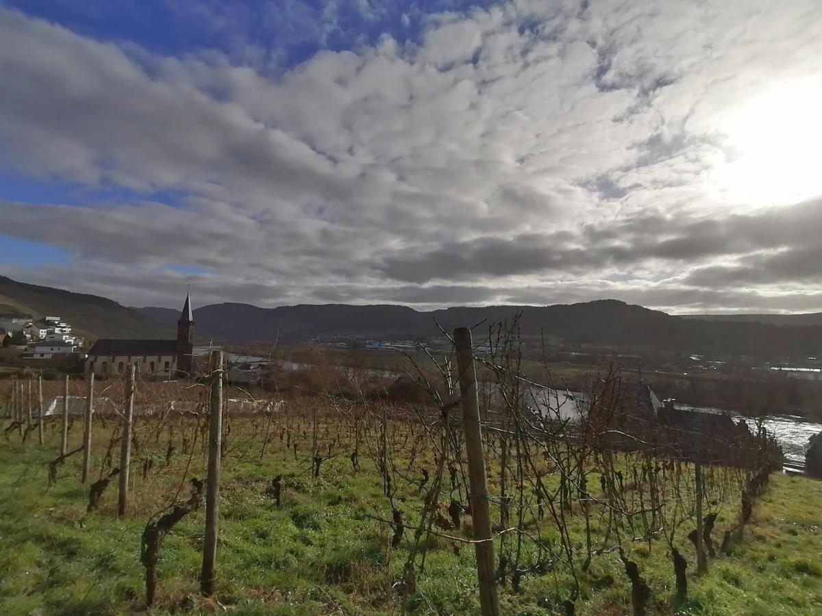 Apartment Weingut & Gaestehaus Schumann *