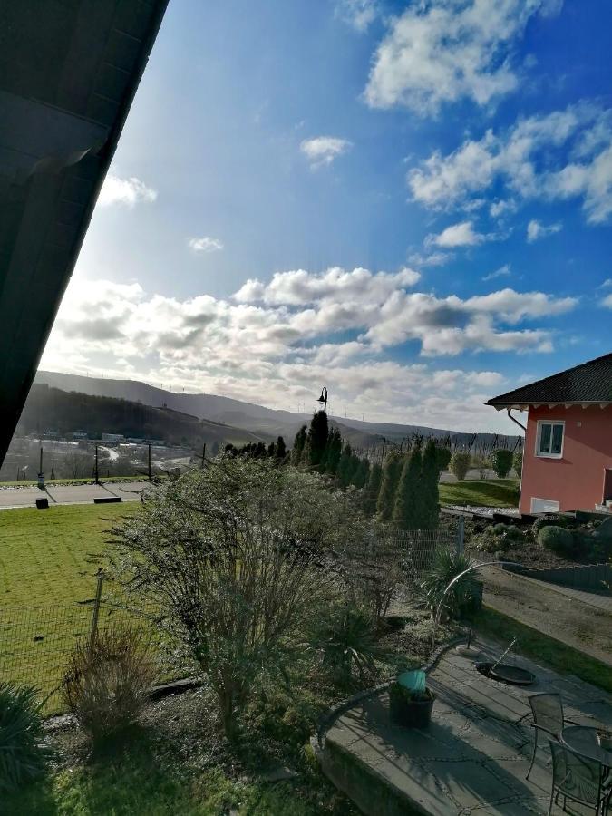 Apartment Weingut & Gaestehaus Schumann Lieser