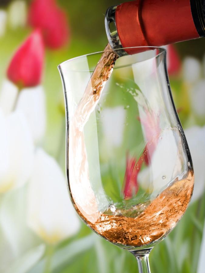 Weingut & Gaestehaus Schumann